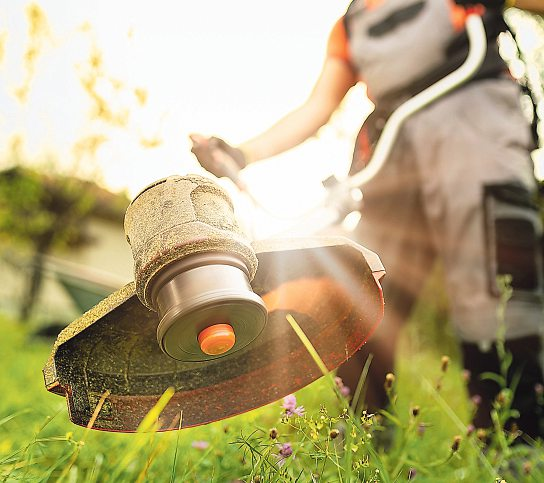 Ein schöner Garten ist die Bühne für die Natur. Foto:zphoto83 - stock.adobe.com