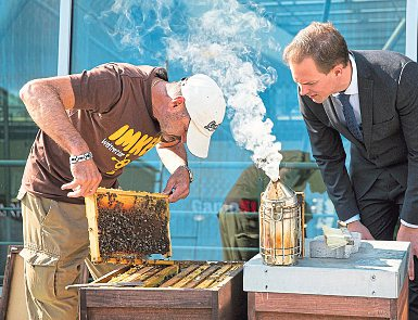 Jährlich produzieren die Bienenvölker auf den Dächern der beiden Center rund 250 Kilogramm köstlichen Honig. Foto: Faruk Pinjo