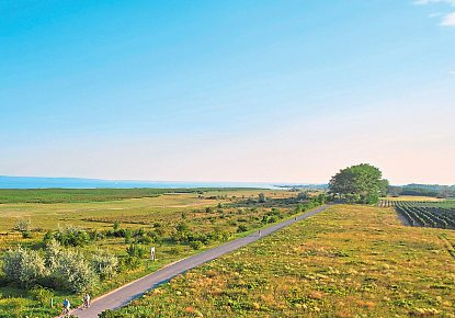 Das Teilgebiet „Illmitz-Hölle“ im Nationalpark Neusiedler See-Seewinkel bietet Vielfalt und Abwechslung. Foto: Burgenland Tourismus/stillsandemotions