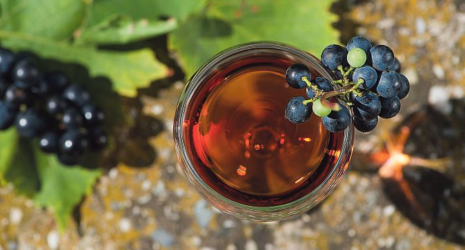 Stets omnipräsent im Süden der Steiermark: der edle Wein.