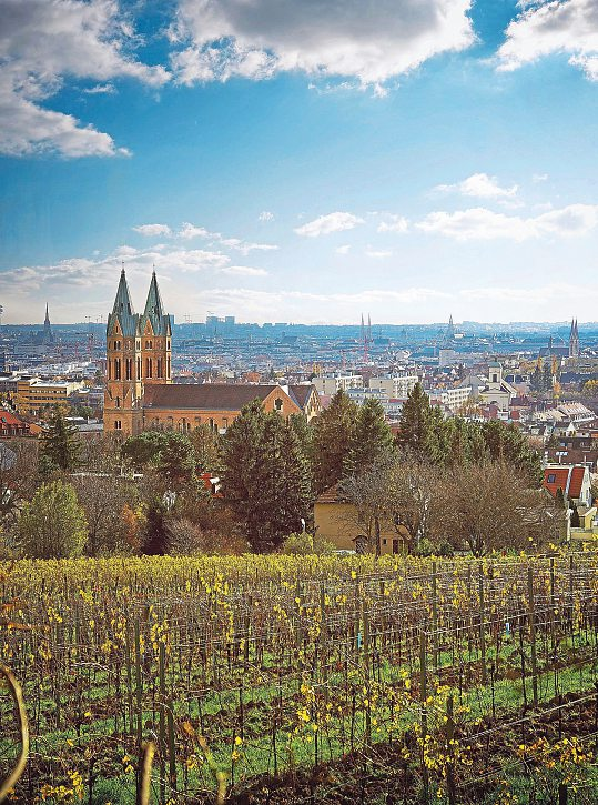 Wein trifft Millionenstadt - am Hungerberg in Grinzing. Foto: ÖWM/WSNA