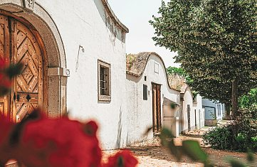 Kitzeck, die Weingartenkapelle in Neckenmarkt und eine Kellergasse bei Neusiedl sind immer für ein Foto gut. Foto: ÖWM/1000things, Katharina Tesch