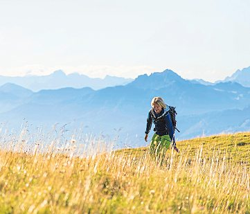 Hoch hinaus, und mit malerischem Ausblick ein Picknick genießen. Foto: Franz Gerdl/Kärnten Werbung