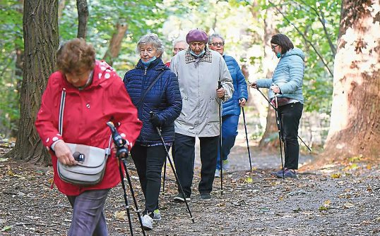 Vital-Pass - Vitaler Wochenstart: montags, 10-11 Uhr, Leoben: Dieser gemütliche Spaziergang mit den Community Nurses richtet sich vor allem an Senioren, die durch lockere Bewegung ihr Wohlbefinden steigern und ihre Fitness verbessern möchten. Info unter 0676/844 062 554. Foto: freepik