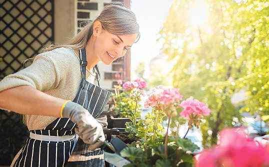 Mit der richtigen Pflege bleiben die Pflanzen gesund. Foto: leszekglasner-stock.adobe.com