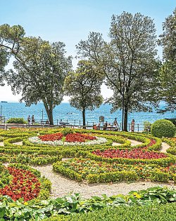 Duftende Blütenpracht an der Opatija Riviera. Foto: Günter Standl