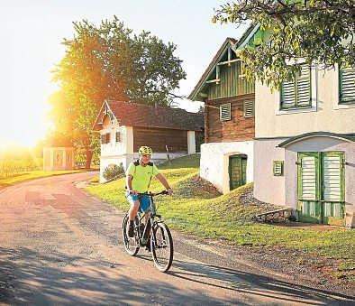 Schon lange ist der Csaterberg ein beliebtes Ausflugsziel für Naturund Weinliebhaber. Vorbei an typischen Kellerstöckln geht es mit dem Rad. Foto: Burgenland Tourismus GmbH/Stills Emotions