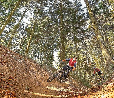 Burgenland Trails im Einklang mit der Natur: Mehr als 40 km Singletrails sind am Geschriebenstein dank minimalinvasiver Bauweise entstanden. Foto: Burgenland Tourismus GmbH/Hackl