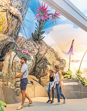 Die Großglockner Hochalpenstraße begeistert nicht nur mit Naturschauspielen, sondern auch mit Ausstellungen und Touren.
