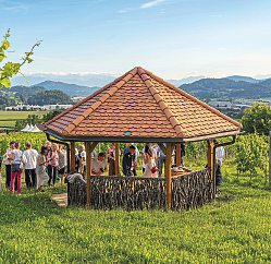 Slow Food: Beim „Wild Kitchen“-Fest am 25. Juli wird im Weingarten gefeiert. Foto: Marvin Walder