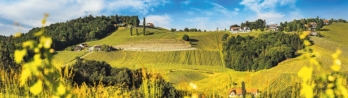 Sanfte Hügellandschaften und viel Dolce-Vita-Feeling: die steirische Toskana trägt ihren Spitznamen zu Recht. Foto: Przemyslaw Iciak - stock.adobe.com