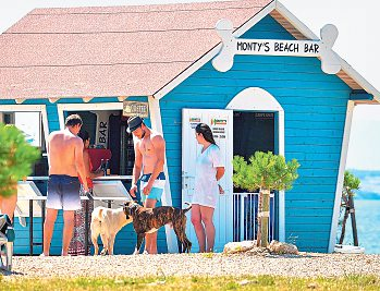 Hunde sind an an offiziellen Stränden in der Kvarner-Bucht nicht erlaubt. Ganz anders ist das bei Monty's Dog Beach & Bar: In der Bucht am kleinen Hafen Podvorska findet sich ein wahres Paradies für Vierbeiner und ihre Menschen. Foto: TVB Crikvenica