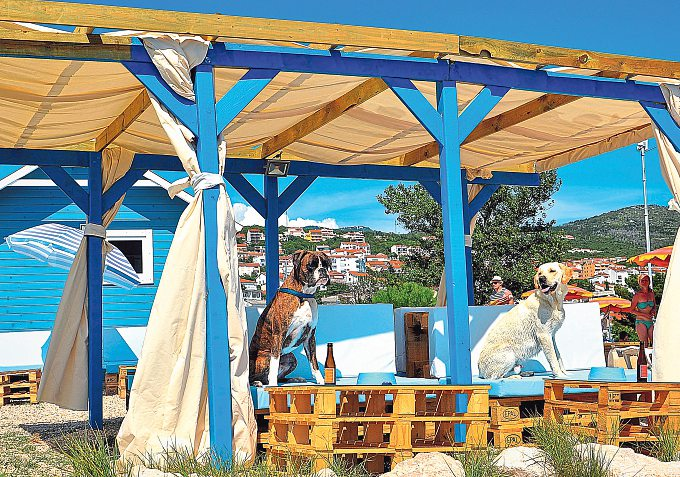 Hunde sind an an offiziellen Stränden in der Kvarner-Bucht nicht erlaubt. Ganz anders ist das bei Monty's Dog Beach & Bar: In der Bucht am kleinen Hafen Podvorska findet sich ein wahres Paradies für Vierbeiner und ihre Menschen. Foto: TVB Crikvenica