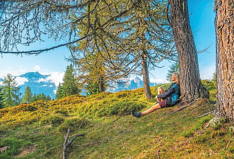 Der Wald spielt in Osttirol eine zentrale Rolle - als kühlender Schattenspender, Klimaschützer, Erholungs- sowie Lebensraum für Mensch und Tier.