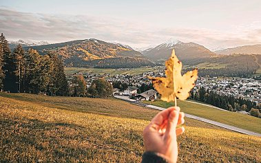 Herbstzeit ist Entdeckerzeit. Foto: Christian Schartner