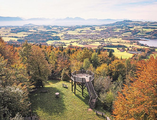 Nach wenigen Stufen eröffnet sich der Blick auf Buchberg und Obertrumer See. Foto: H.Mandl