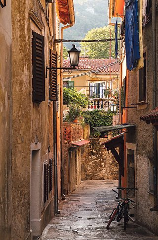 Foto: csimages-stock.adobe.com