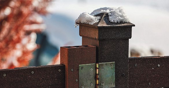 Foto: Dan-stock.adobe.com