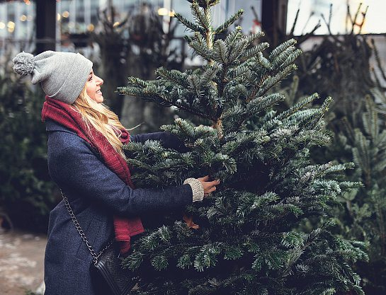 Foto: Serhiy Hipskyy - stock.adobe.com