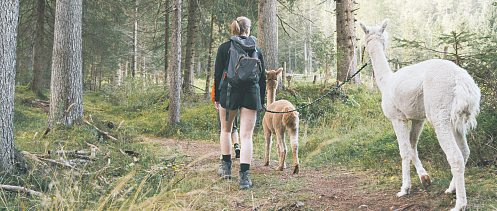 In Tirol kann man unzählige (Wild-) Tiere auf vielfältige Art kennen und lieben lernen.Foto: TVB Wipptal/Johannes Bitter
