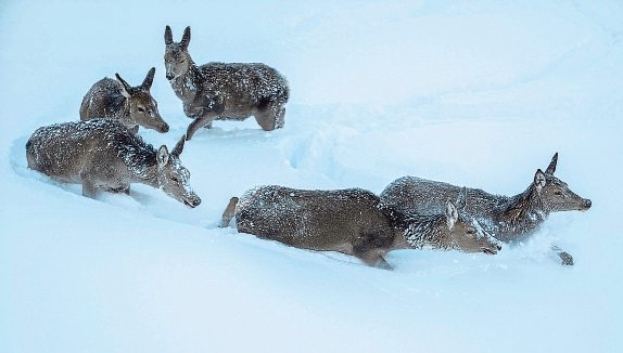Foto: Christoph Burgstaller