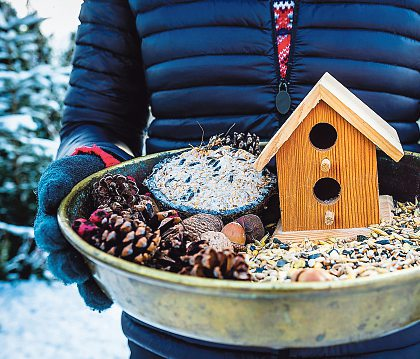Unsere heimischen Vögel danken in der kalten Jahreszeit mit fröhlichem Zwitschern für | jede Handvoll Körner.