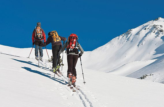 Foto: Stanislawski - stock.adobe.com