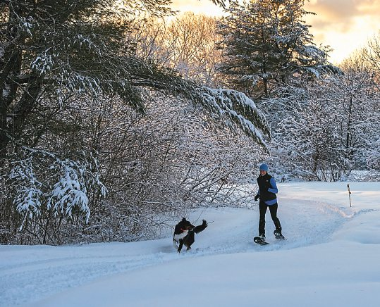 Winterwandern gilt hier als die gemütlichste Art, Natur intensiv zu erleben. Foto: C.A.SmithPhotography - stock.adobe.com