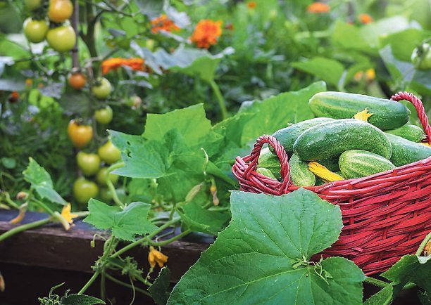 Fotos: fotoknips-stock.adobe.com