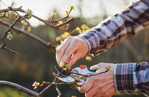 Fotos: Wavebreakmedia Micro-stock.adobe.com