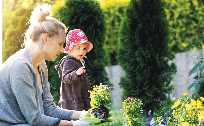 Der Frühling ist ideal, um Zierpflanzen zu setzen