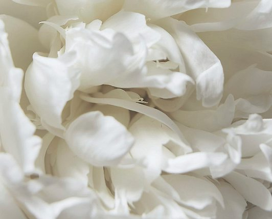 … vor der ruhigen Basis von Cloud Dancer eine besonders warme und entspannte Wirkung.