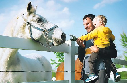 Foto: nataliaderiabina stock.adobe.com