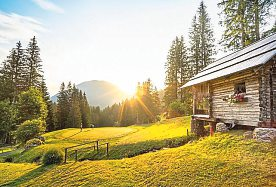 Example caption here