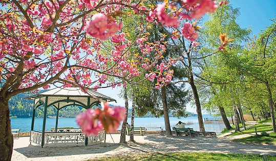 Pörtschach: Blühendes Ambiente und entspannter Genuss. Foto: Franz Gerdl