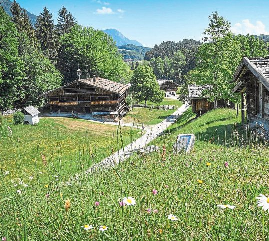 Foto: Gabriele Grießenböck