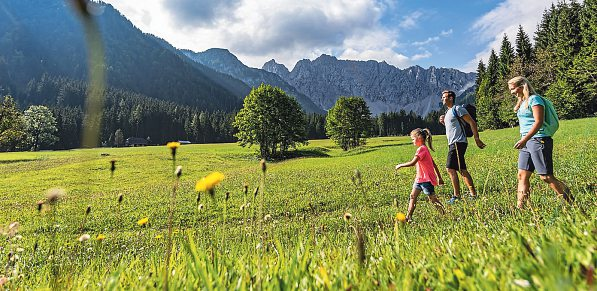 Im Rosental wechseln sich offene Hänge mit Waldpassagen ab.   Foto: Franz Gerdl