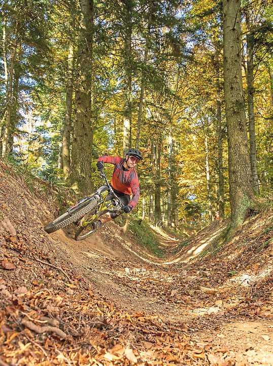 Ob Genussfahrer, E-Biker oder Enduro und Downhill-Shredder: Die Burgenland-Trails bieten die richtige Gangart für jeden Mountainbiker.  Foto: Burgenland Tourismus/Motionmanager/Hackl