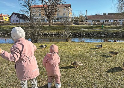 Ein Highlight beim Spielen: Eine kurze Pause vom Klettern einlegen, um die Enten im Valentin-Leitgeb-Park in Kühnsdorf zu bestaunen.