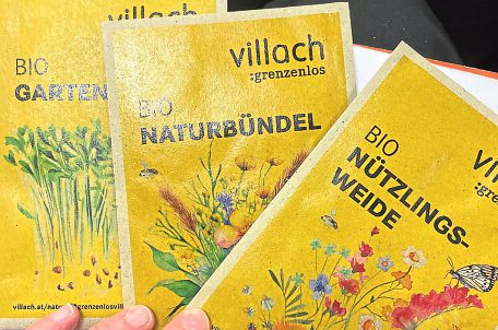 ... Gartenflächen entstehen. Für die Wildblumen soll ebenfalls Platz gefunden werden.