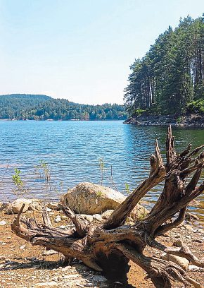 Der Forstsee oberhalb des Wörthersees begeistert immer mehr Wanderer.