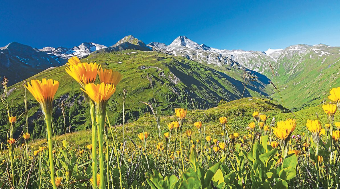 Die Bergwelt rund um Mallnitz ist im Sommer ein Paradies für Bergsteiger und Wanderer und ideal mit dem Zug erreichbar. Foto: Uwe Grinzinger