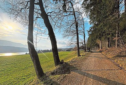Die Route ist sehr beliebt, der Parkplatz direkt beim Friedhof ist kostenpflichtig. Nicht auf das Gassisackerl vergessen!