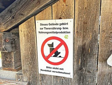 Fotos: Elisa Aschbacher