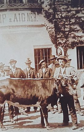 Weiße Hahnenfedern bekommen„Siegerin“ und Bauer damals wie heute.