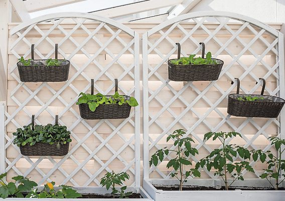 Foto: wagner_md-stock.adobe.com