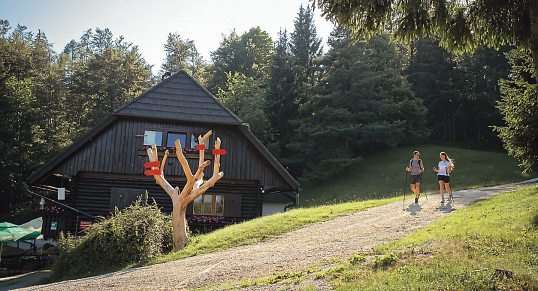 Wandern rund um den Hum: Sanfte Anstiege machen die Region ideal für Touren.    Foto: Maja Skrbinek