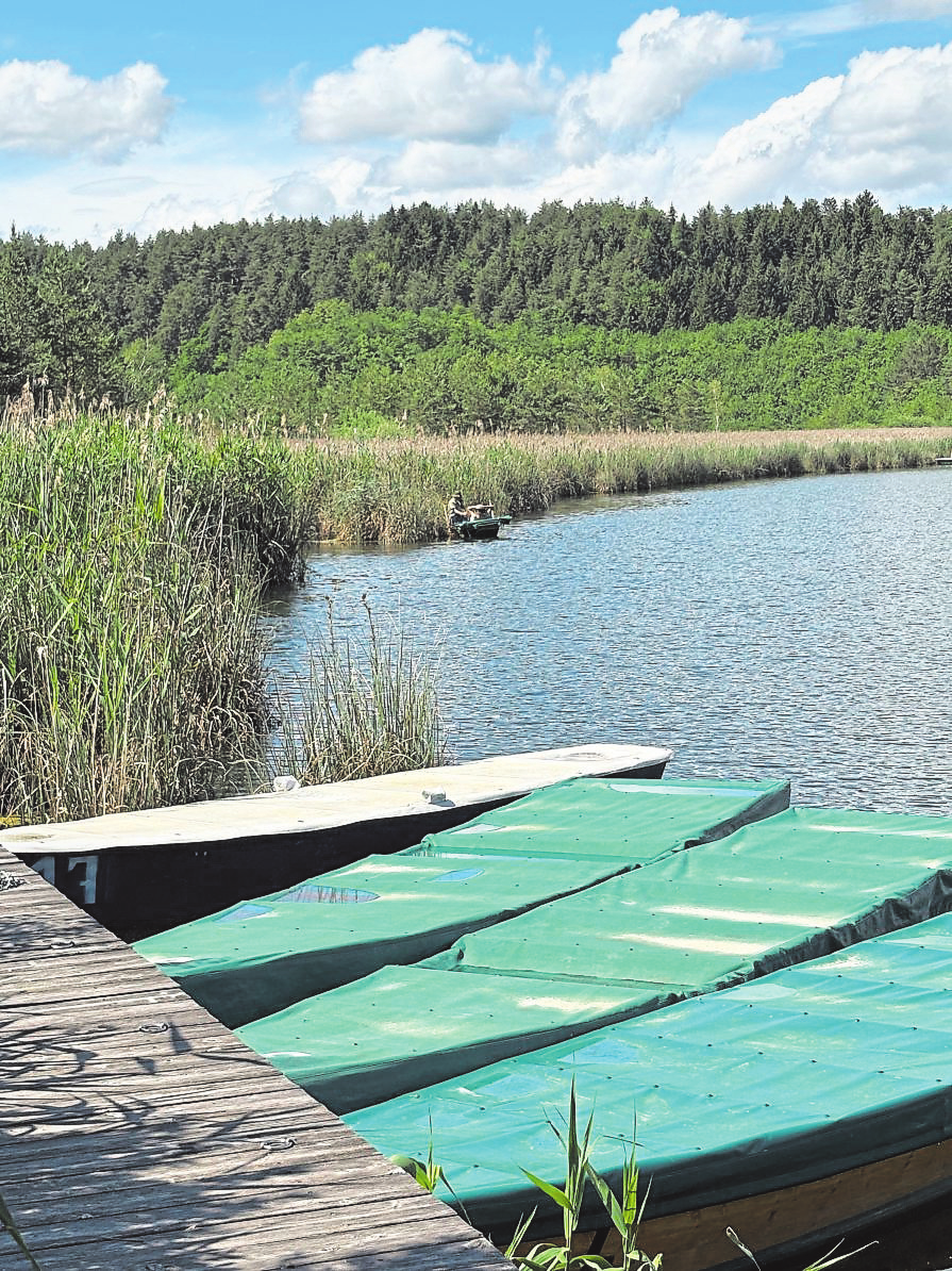 Über den Jauntaler Fischerklub können Boote gemietet werden - wer etwas fangen will, muss den See nämlich vom Wasser aus erkunden.   Fotos: Elisabeth Nachbar