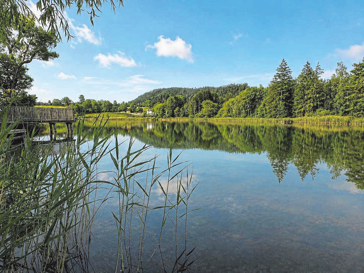 Der Kraiger See liegt nördlich von St. Veit - ein kleines Naturjuwel, das zum Entspannen und Genießen einlädt. Foto: Christian Krall