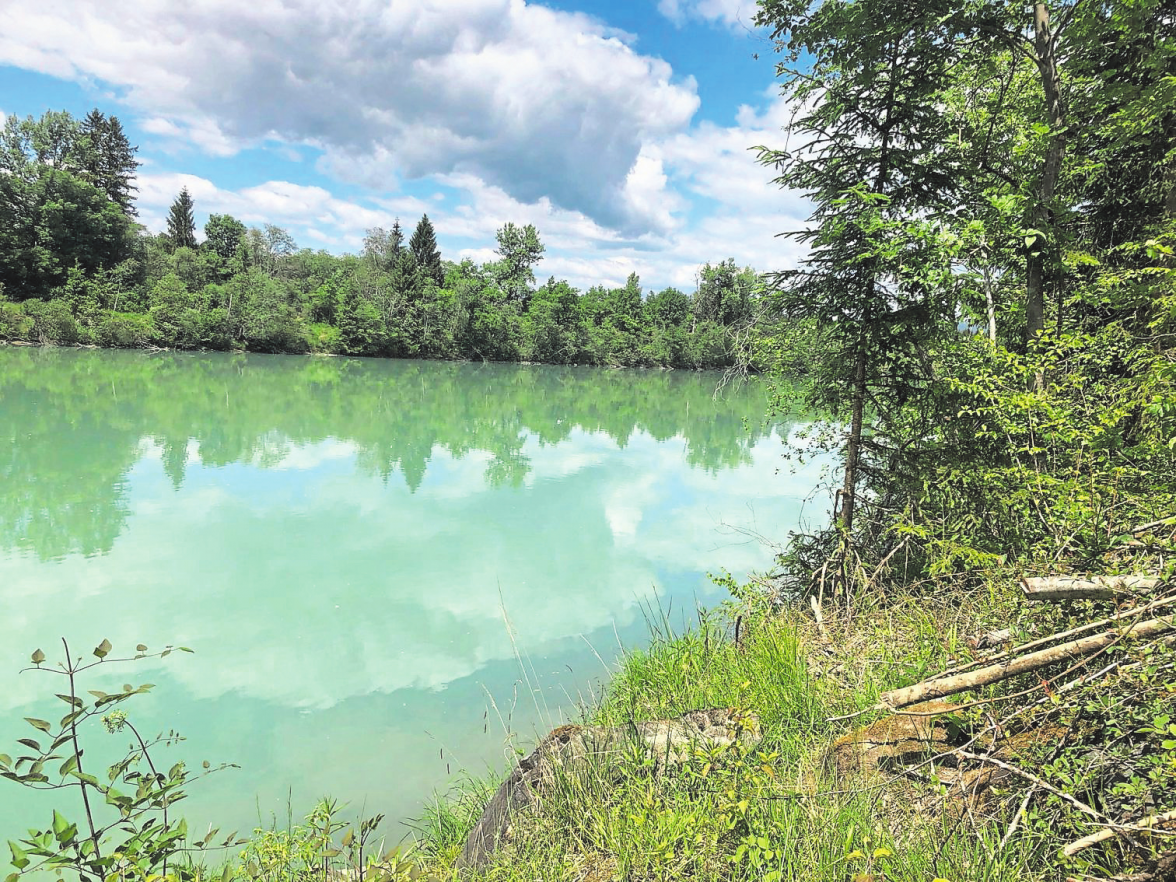 Die Drau in Unterkärnten Foto: Elisabeth Nachbar